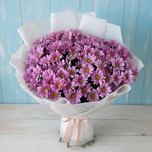 Букет цветов из:  Хризантемы в Бережки