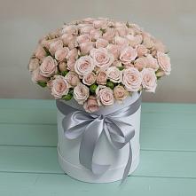 Цветочная композиция из Розы в шляпной коробке #REPLACE_PRED# Бережки