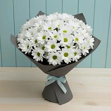 Букет цветов из:  Хризантемы в Бережки