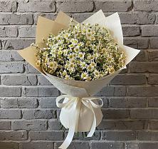 Букет цветов из:  Ромашки в Бережки