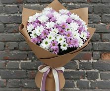 Букет цветов из:  Хризантемы в Бережки