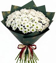 Букет цветов из:  Хризантемы в Бережки