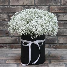 Цветочная композиция из Гипсофила в шляпной коробке #REPLACE_PRED# Бережки