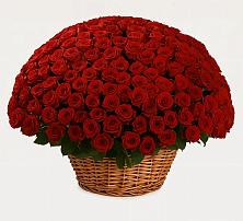 Премиум букет из: Розы в Бережки