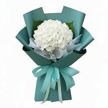 Букет цветов из:  Гортензия в Бережки